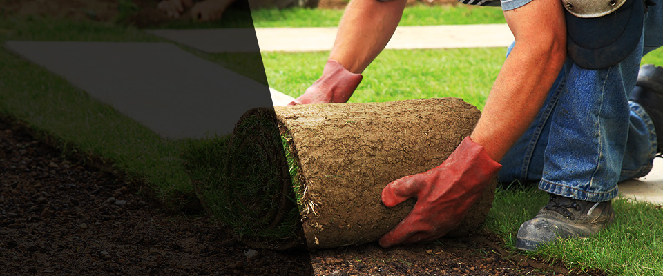 De Graff Landscapers